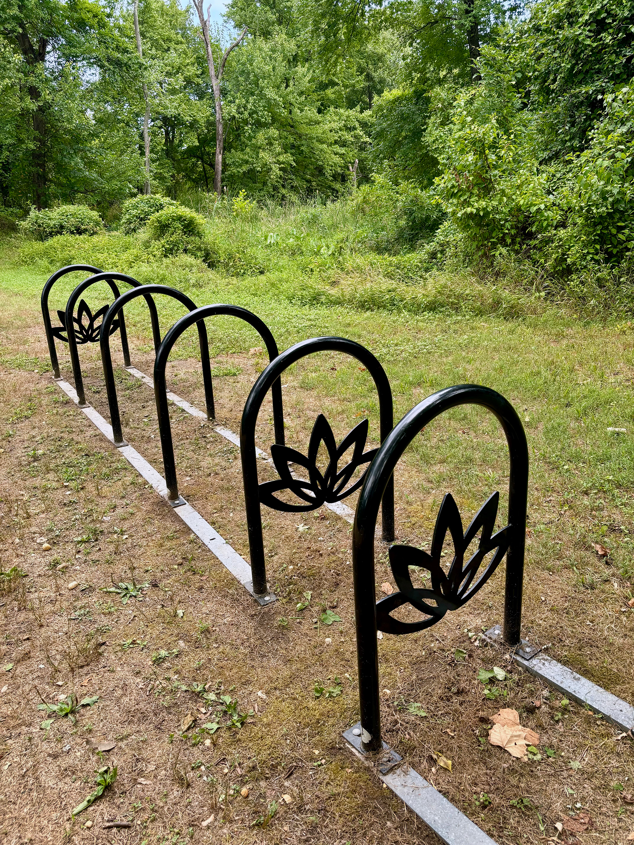 Lotus Flower Bike Rail